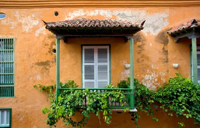A picturesque colonial balcony with green vines against a rustic orange wall.