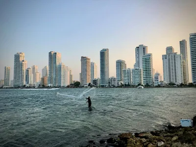 A fisherman casts his net with a city skyline in Cartagena, Colombia.