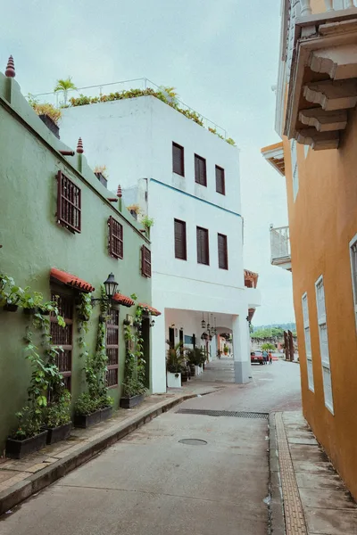 Charming narrow street in Cartagena, Colombia with colorful architecture and lush decorative plants.